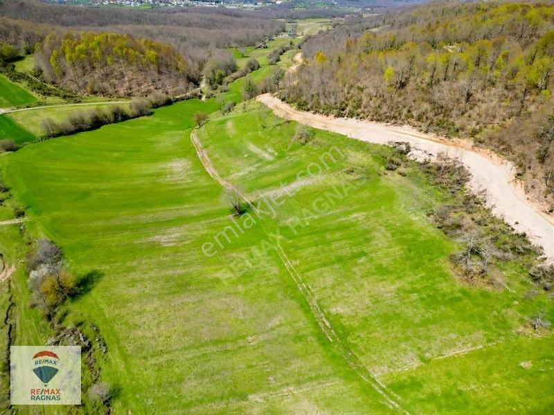 Şile Yazımanayır Mah. Orman Yolu Cepheli 1.037m² Satılık Tarla — fotoğraf 5