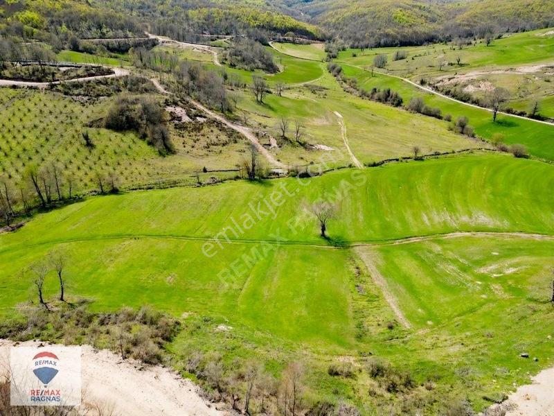 Şile Yazımanayır Mah. Orman Yolu Cepheli 1.037m² Satılık Tarla — fotoğraf 6
