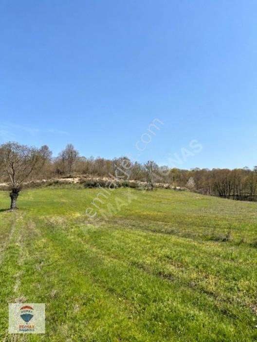 Şile Yazımanayır Mah. Orman Yolu Cepheli 1.037m² Satılık Tarla — fotoğraf 7