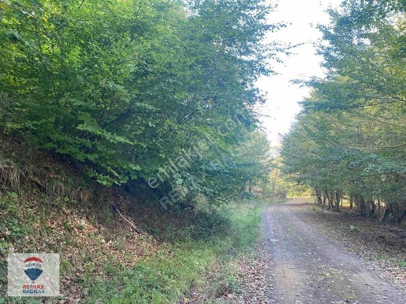 Şile Yazımanayır Mah. Orman Yolu Cepheli 1.037m² Satılık Tarla — fotoğraf 8