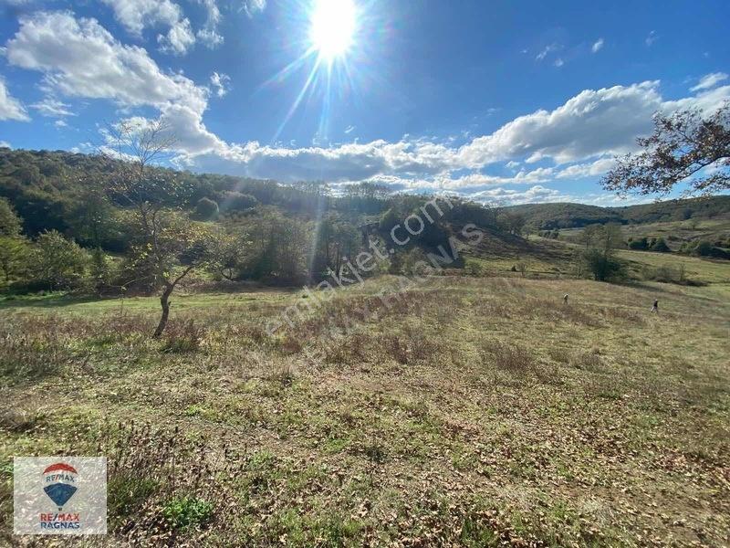 Şile Yazımanayır Mah. Orman Yolu Cepheli 1.037m² Satılık Tarla — fotoğraf 9