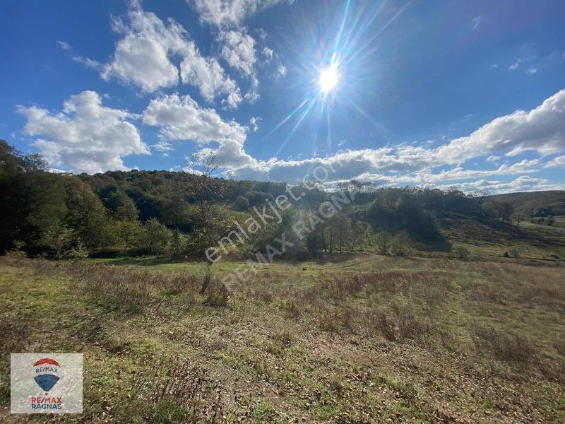 Şile Yazımanayır Mah. Orman Yolu Cepheli 1.037m² Satılık Tarla — fotoğraf 10