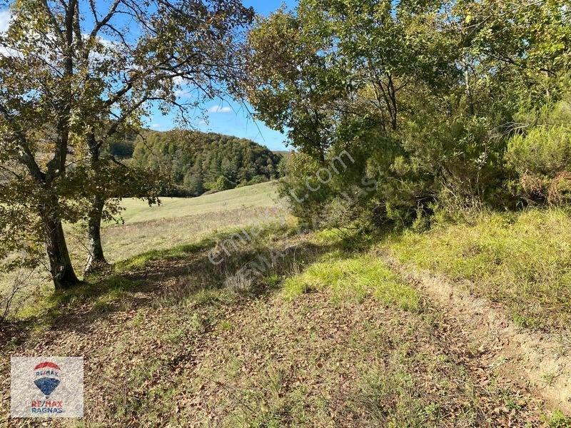 Şile Yazımanayır Mah. Orman Yolu Cepheli 1.037m² Satılık Tarla — fotoğraf 11