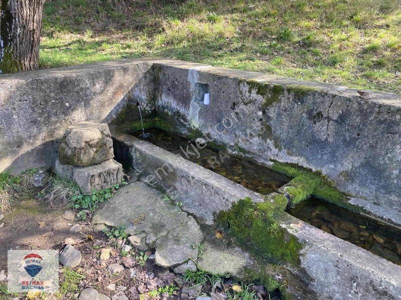 Şile Yazımanayır Mah. Orman Yolu Cepheli 1.037m² Satılık Tarla — fotoğraf 13
