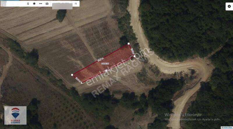 Şile Yazımanayır Mah. Orman Yolu Cepheli 1.037m² Satılık Tarla — fotoğraf 17