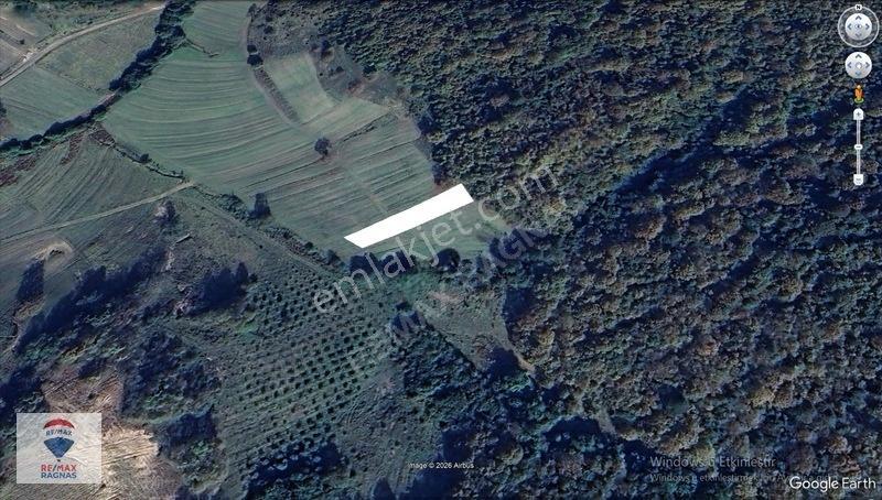 Şile Yazımanayır Mah. Orman Yolu Cepheli 1.037m² Satılık Tarla — fotoğraf 21