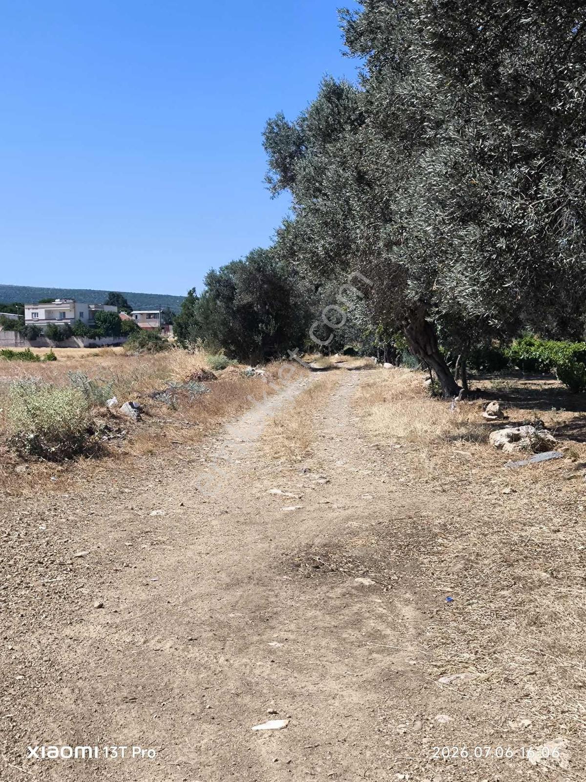 Menderes Görecede İmarın Dibinde Acil Satılık Arazi Fiyat Düştü — fotoğraf 3