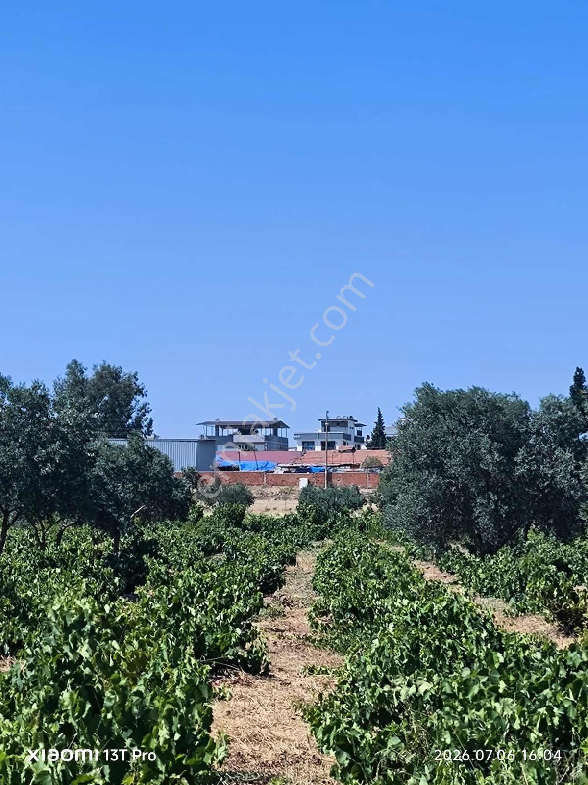 Menderes Görecede İmarın Dibinde Acil Satılık Arazi Fiyat Düştü — fotoğraf 9