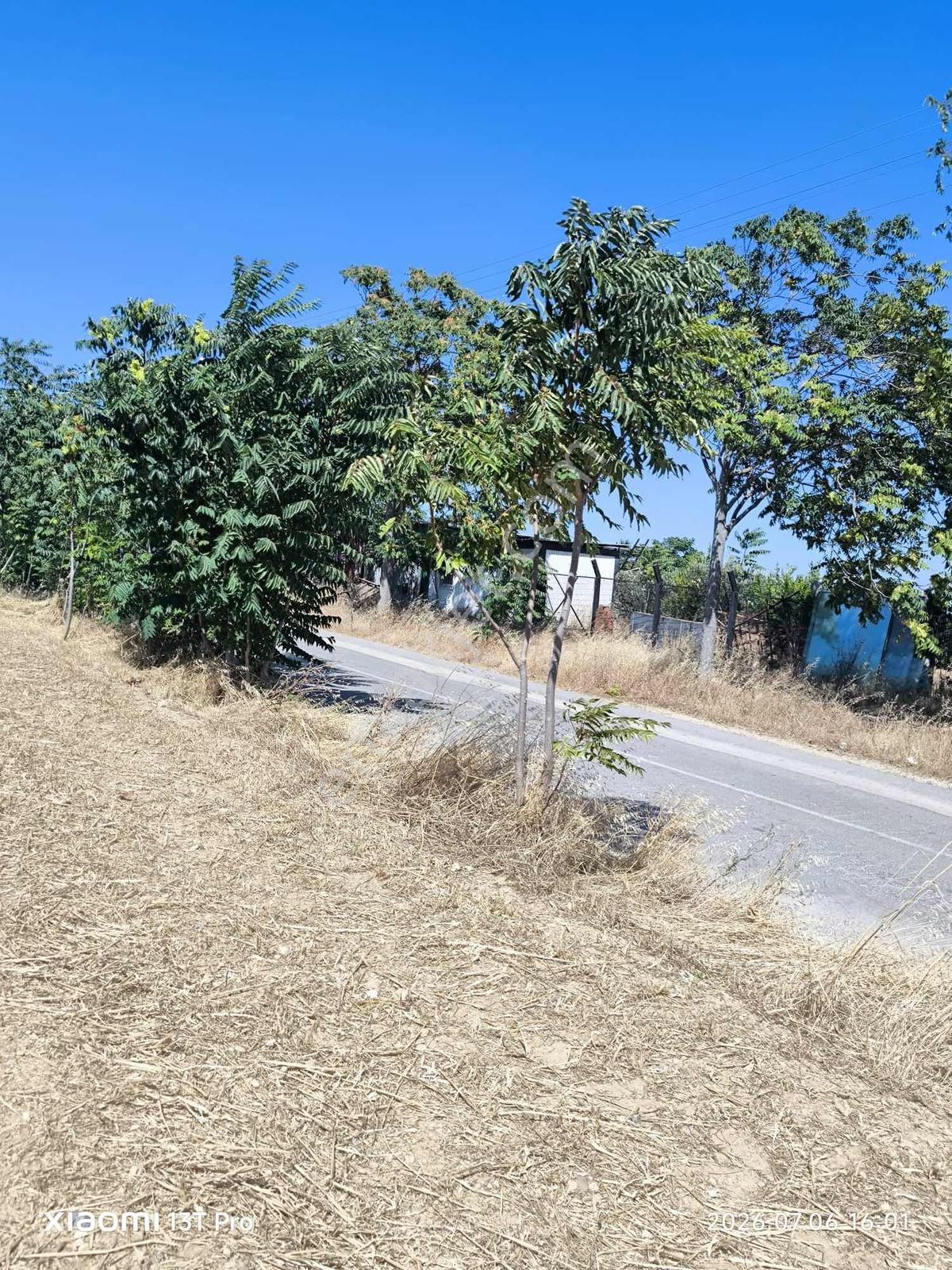 Menderes Görecede İmarın Dibinde Acil Satılık Arazi Fiyat Düştü — fotoğraf 10