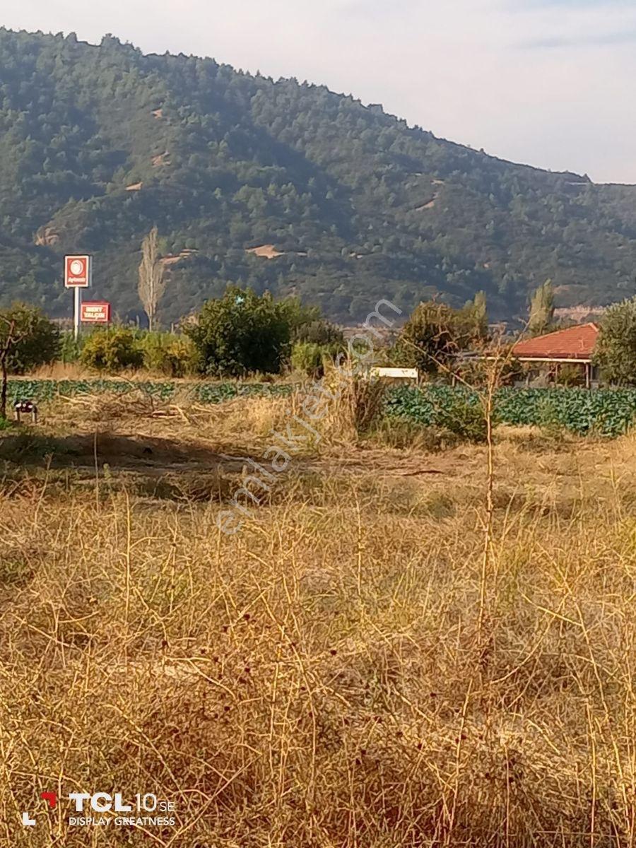 Manisa,Ahmetli Gökkaya Da Yatırımlık Tarla