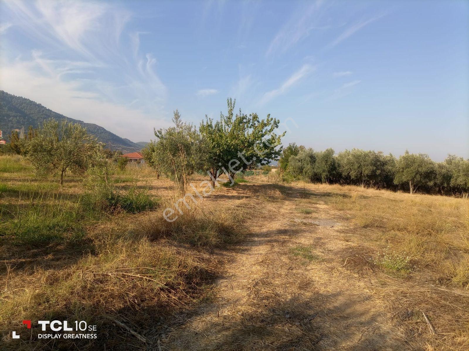 Manisa,ahmetli Gökkaya Da Yatırımlık Tarla — fotoğraf 9