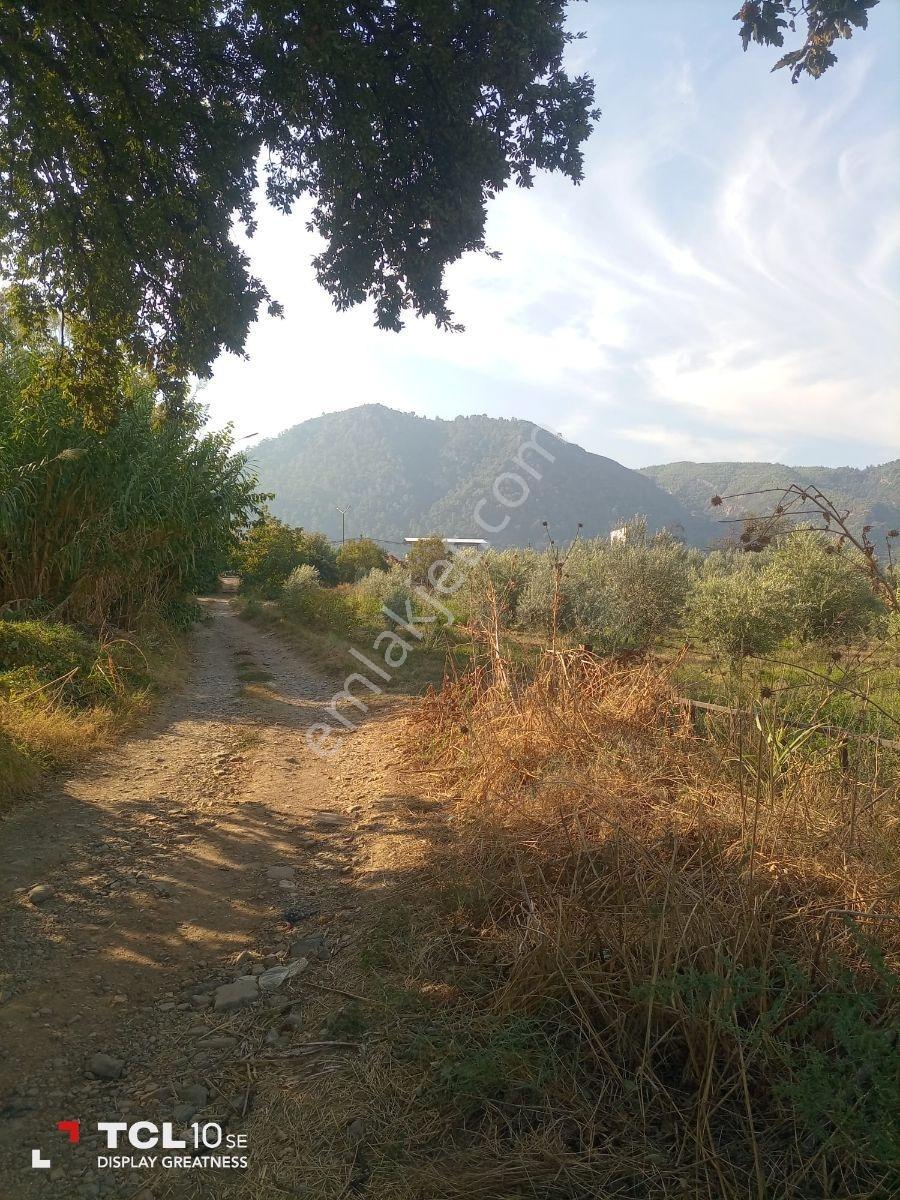 Manisa,ahmetli Gökkaya Da Yatırımlık Tarla — fotoğraf 10