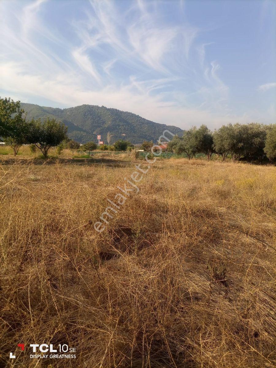 Manisa,ahmetli Gökkaya Da Yatırımlık Tarla — fotoğraf 12