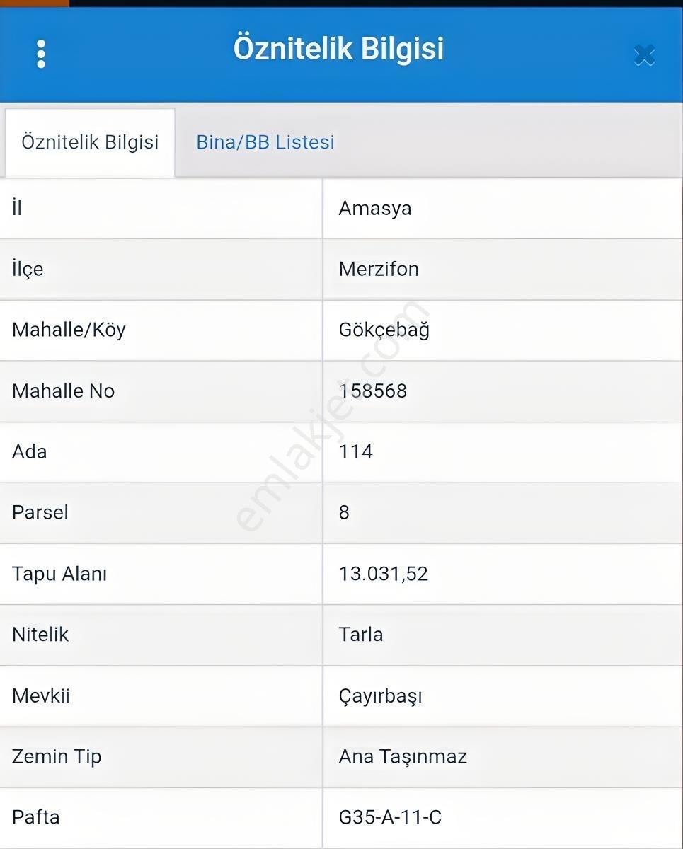 Merzifon-Samsun Yoluna 500Metre Gökcebağda Fırsat Tarla