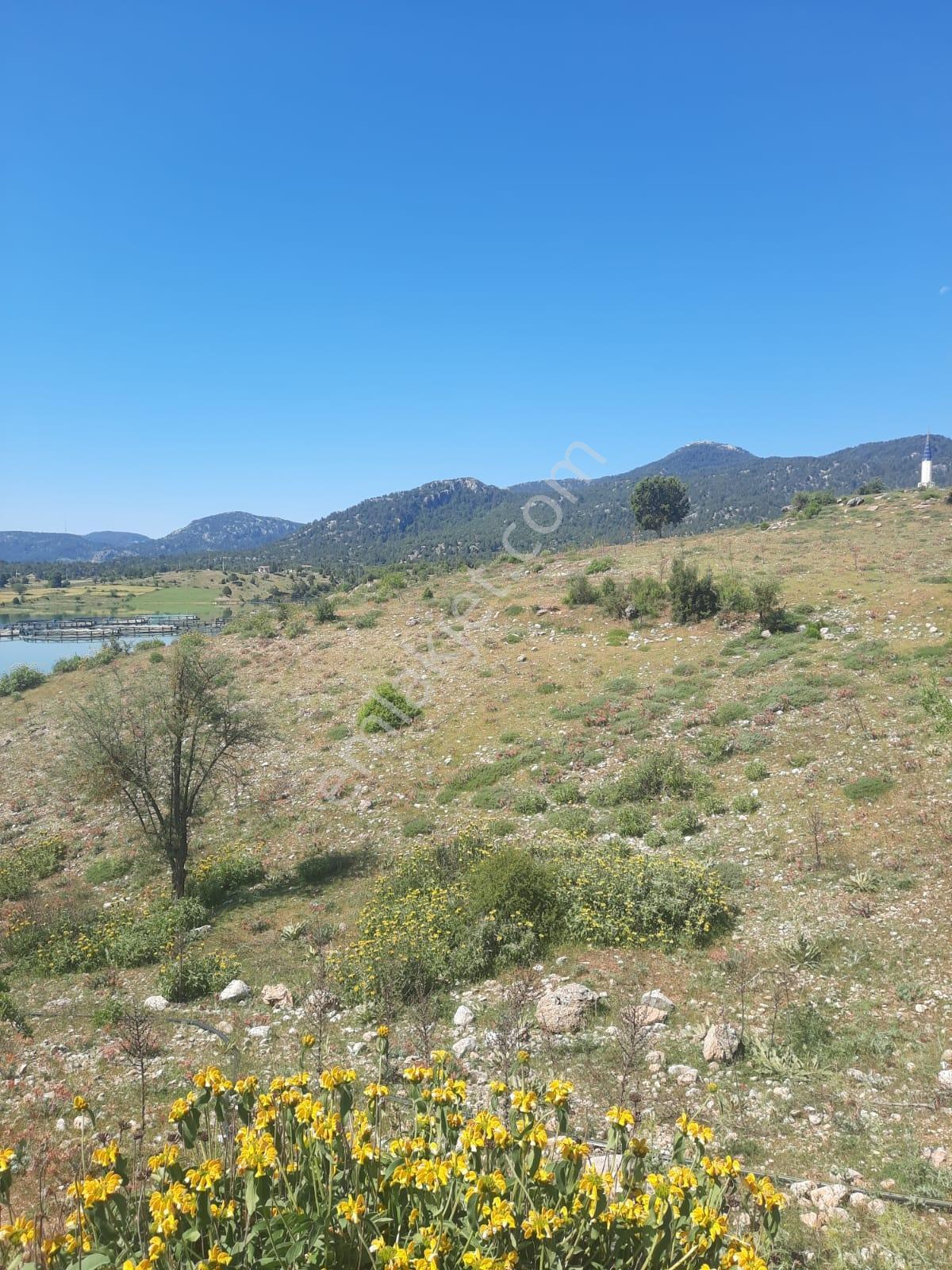 Yayla Patlangıç Göl Manzaralı Muhteşem Arazi 1250 M2 — fotoğraf 6