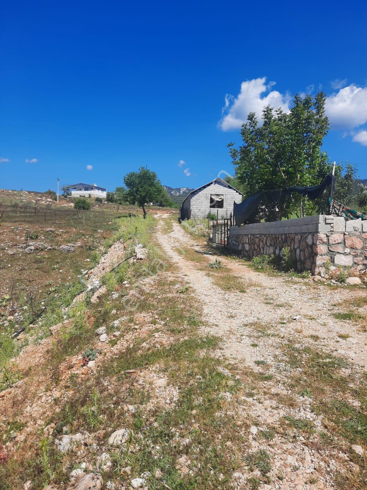 Yayla Patlangıç Göl Manzaralı Muhteşem Arazi 1250 M2 — fotoğraf 13