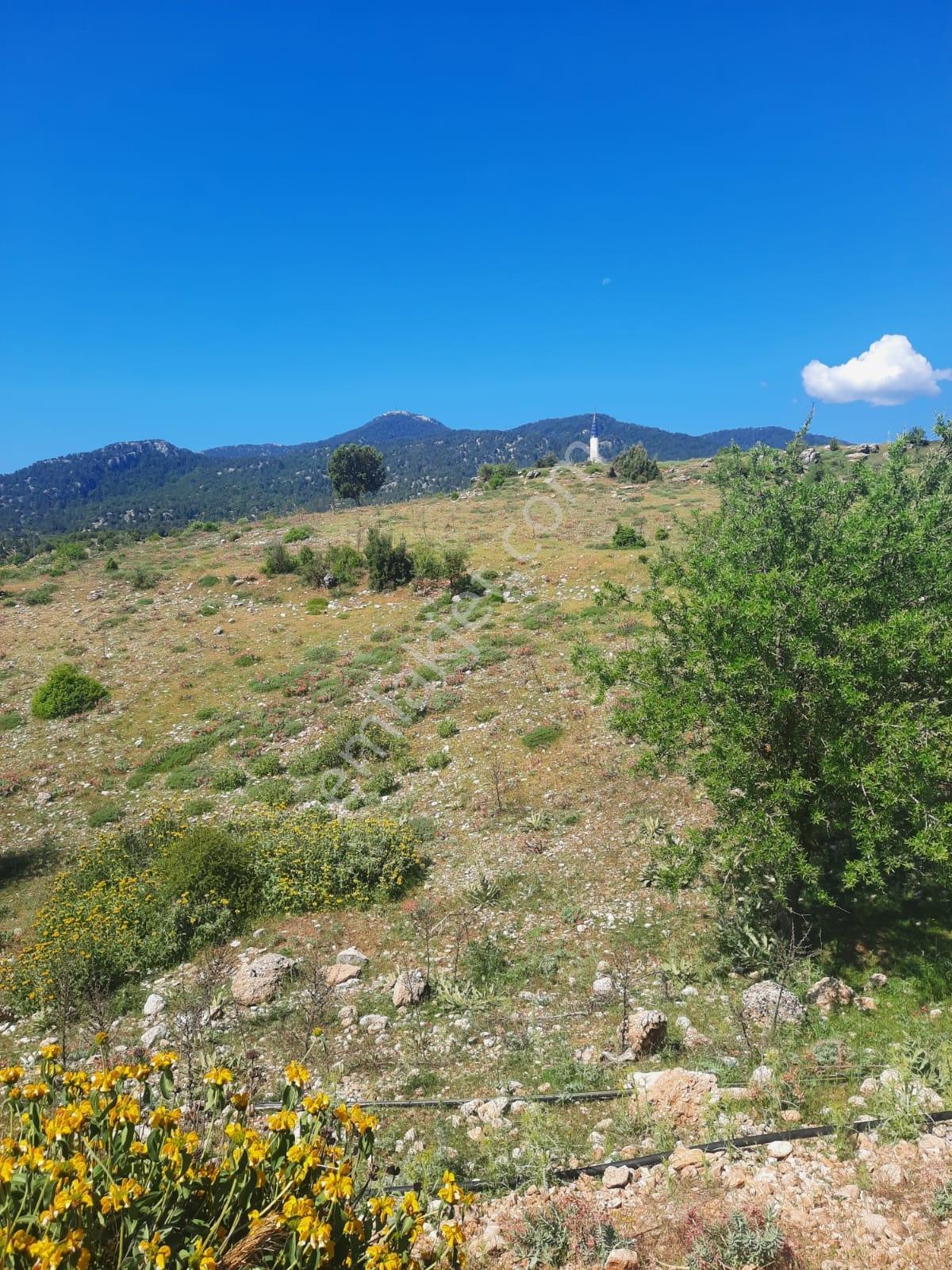 Yayla Patlangıç Göl Manzaralı Muhteşem Arazi 1250 M2 — fotoğraf 15