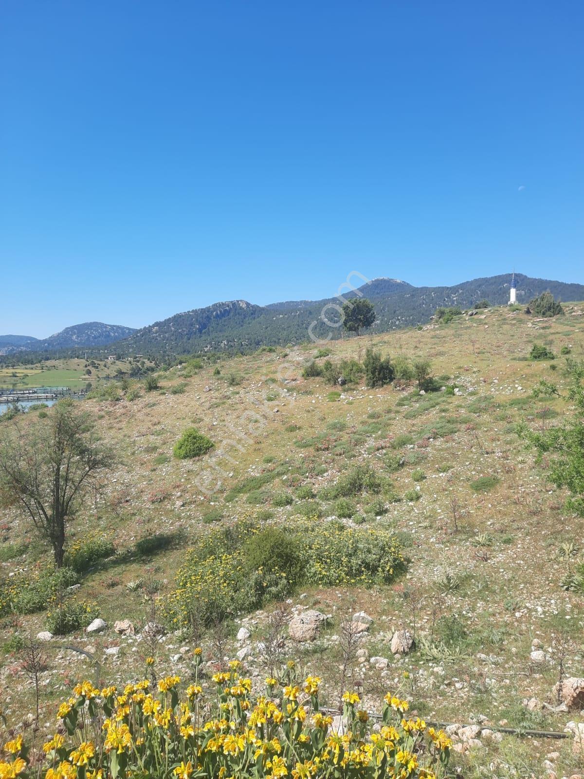 Yayla Patlangıç Göl Manzaralı Muhteşem Arazi 1250 M2 — fotoğraf 18