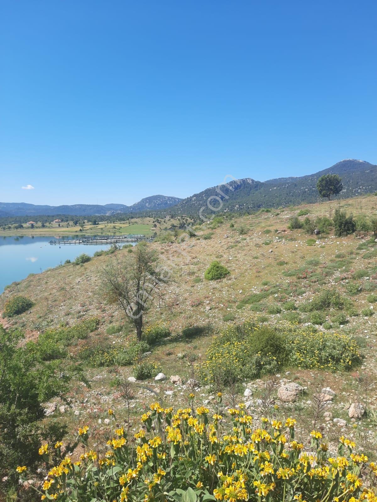 Yayla Patlangıç Göl Manzaralı Muhteşem Arazi 1250 M2 — fotoğraf 20