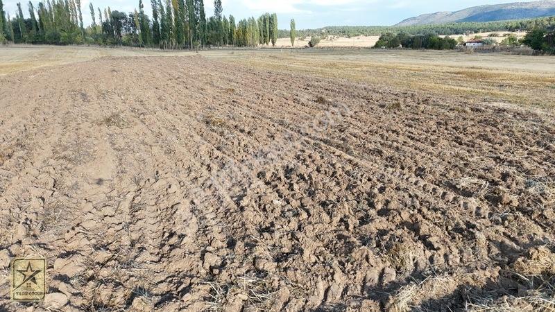 Köyün Dibinde 1.291 M²|zafer Havalimanı 14 Km | Zafer Osb 20 Km — fotoğraf 20