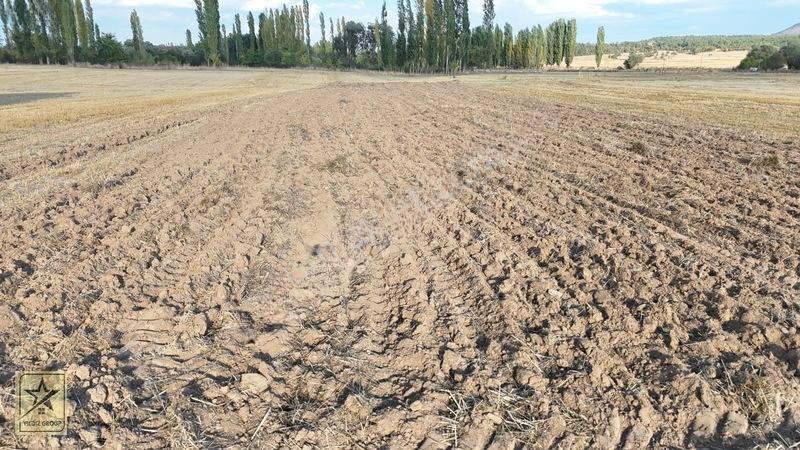 Köyün Dibinde 1.291 M²|zafer Havalimanı 14 Km | Zafer Osb 20 Km — fotoğraf 21