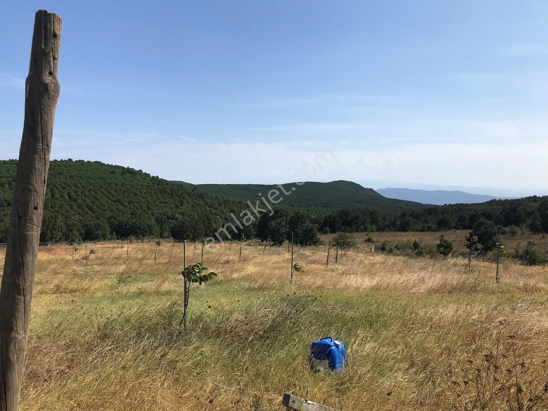 Yalova, Armutlu, Hayriye Köyü'nde, Doğayla Çevrili 8562 M2'lik Arsa Yatırım Fırsatı. — fotoğraf 3