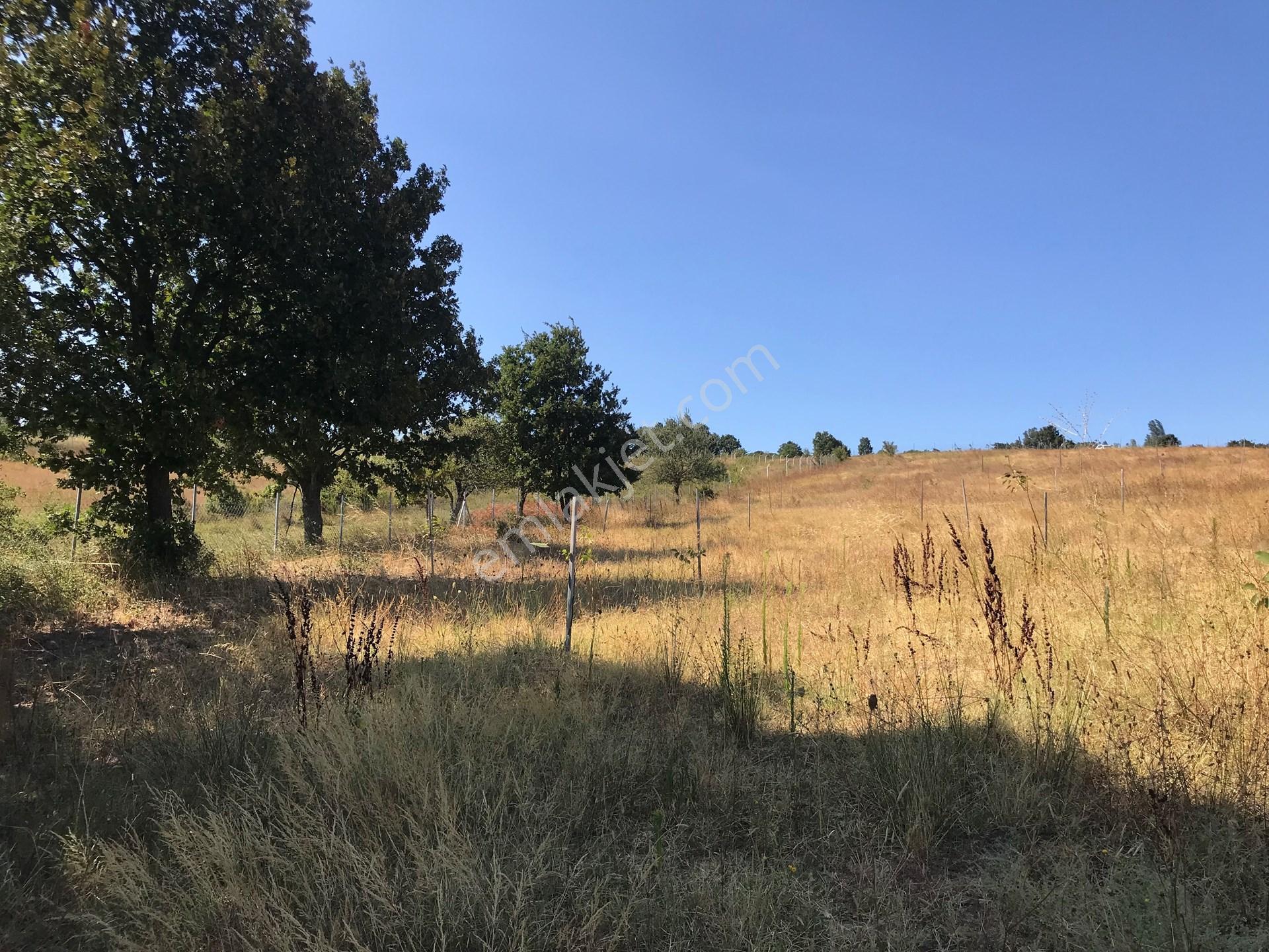 Yalova, Armutlu, Hayriye Köyü'nde, Doğayla Çevrili 8562 M2'lik Arsa Yatırım Fırsatı. — fotoğraf 10