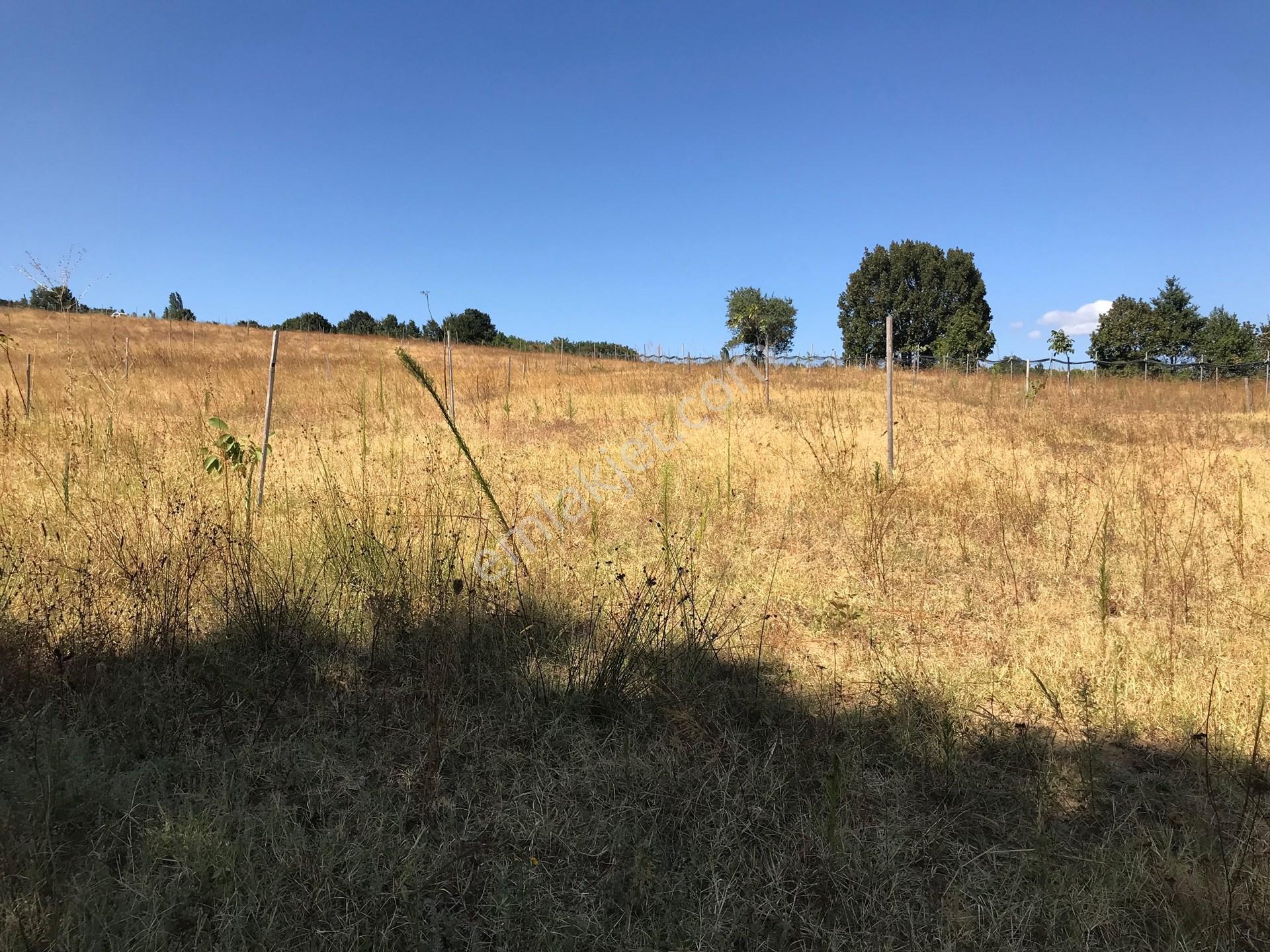Yalova, Armutlu, Hayriye Köyü'nde, Doğayla Çevrili 8562 M2'lik Arsa Yatırım Fırsatı. — fotoğraf 12