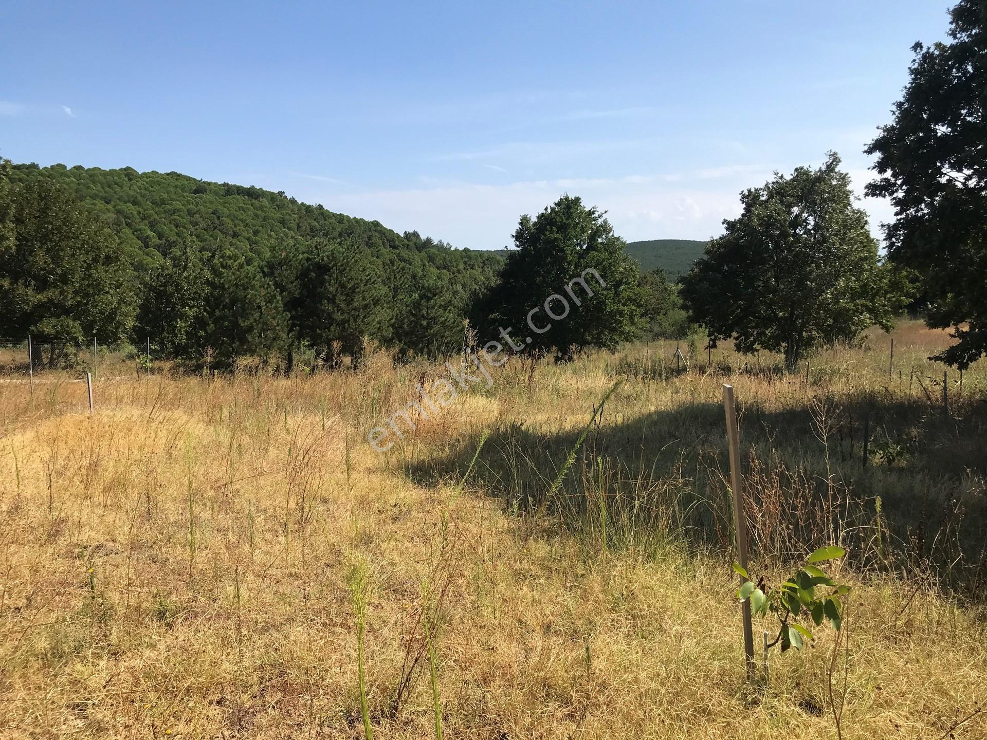 Yalova, Armutlu, Hayriye Köyü'nde, Doğayla Çevrili 8562 M2'lik Arsa Yatırım Fırsatı. — fotoğraf 13