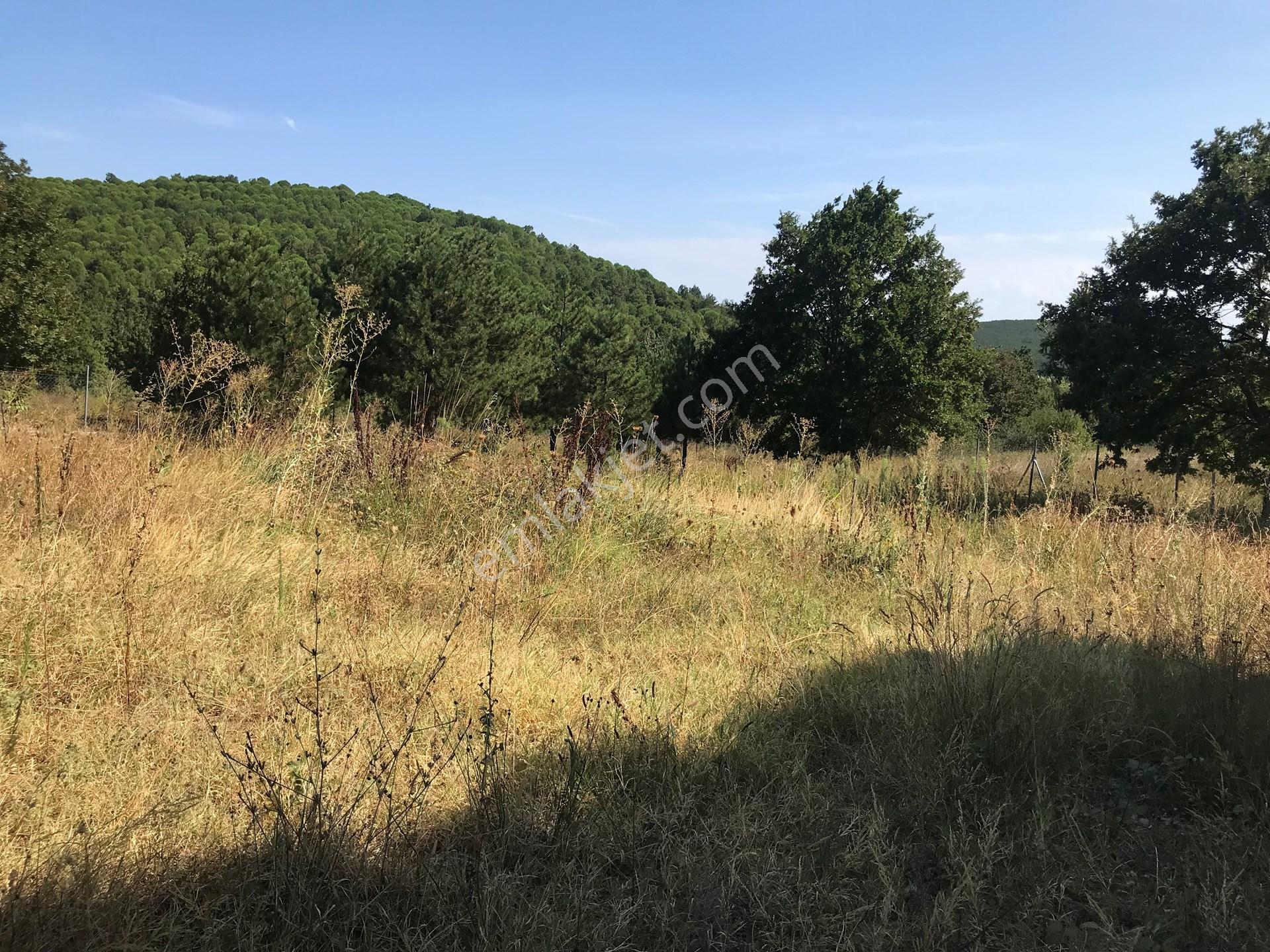 Yalova, Armutlu, Hayriye Köyü'nde, Doğayla Çevrili 8562 M2'lik Arsa Yatırım Fırsatı. — fotoğraf 18