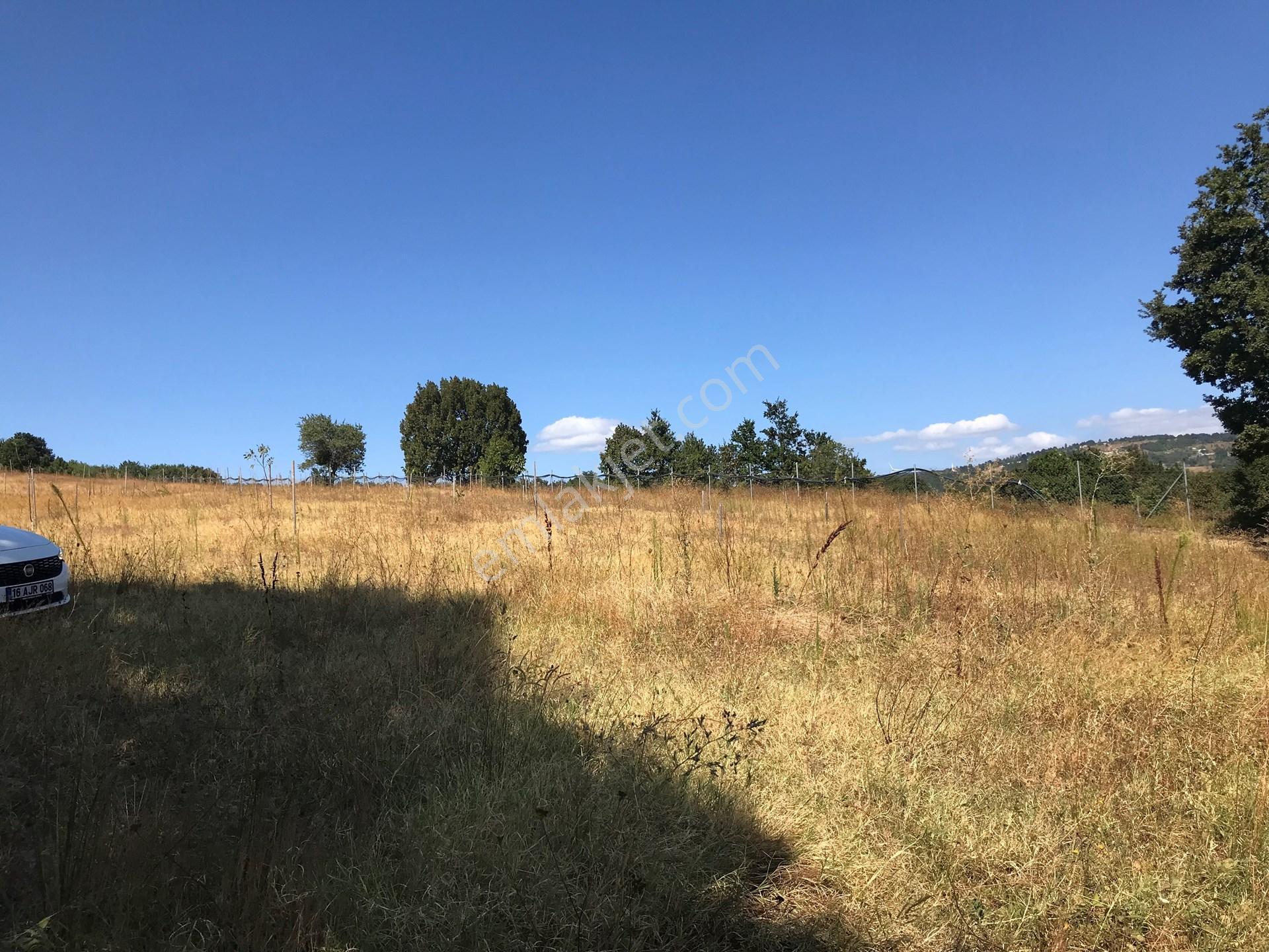 Yalova, Armutlu, Hayriye Köyü'nde, Doğayla Çevrili 8562 M2'lik Arsa Yatırım Fırsatı. — fotoğraf 20