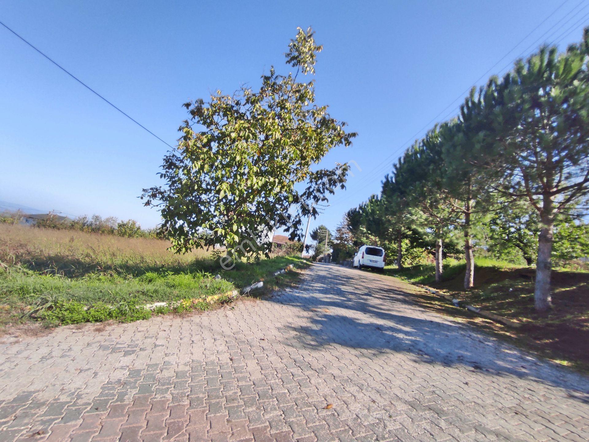 Kartepe Balaban Da Köye Ve Villa'lara Yakın 15,428,m2- Tarla — fotoğraf 2
