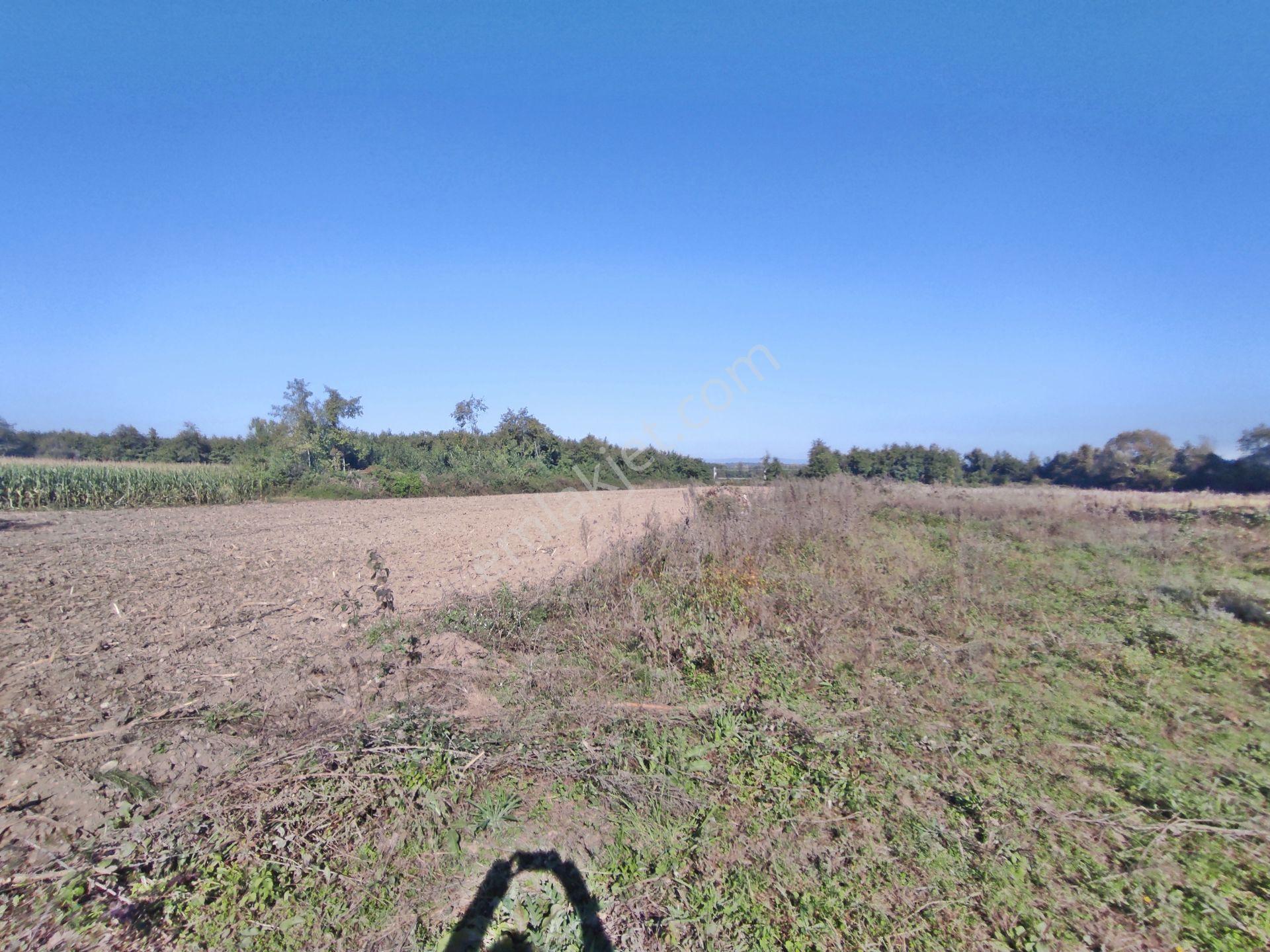 Kartepe Balaban Da Köye Ve Villa'lara Yakın 15,428,m2- Tarla — fotoğraf 7