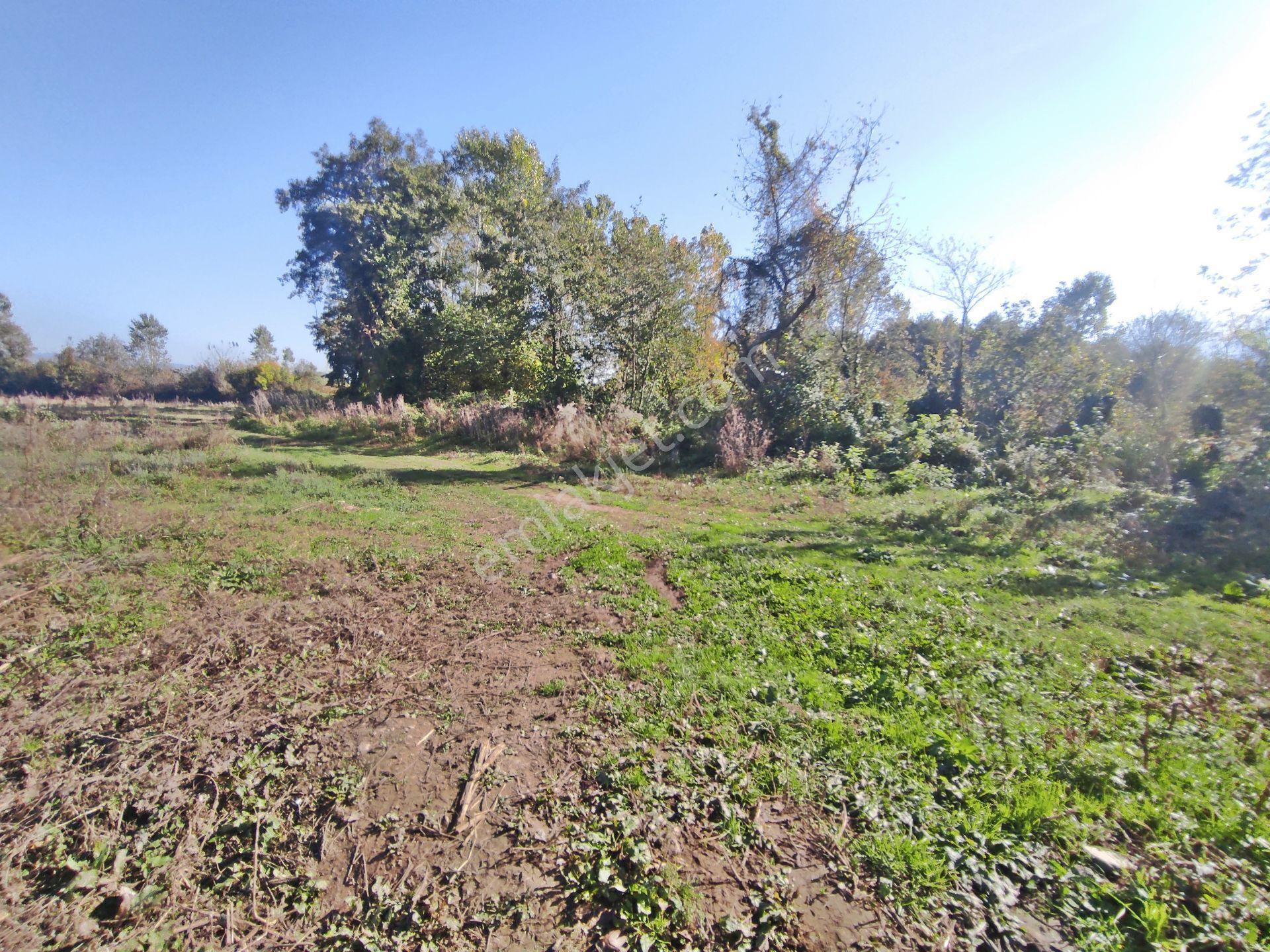 Kartepe Balaban Da Köye Ve Villa'lara Yakın 15,428,m2- Tarla — fotoğraf 8