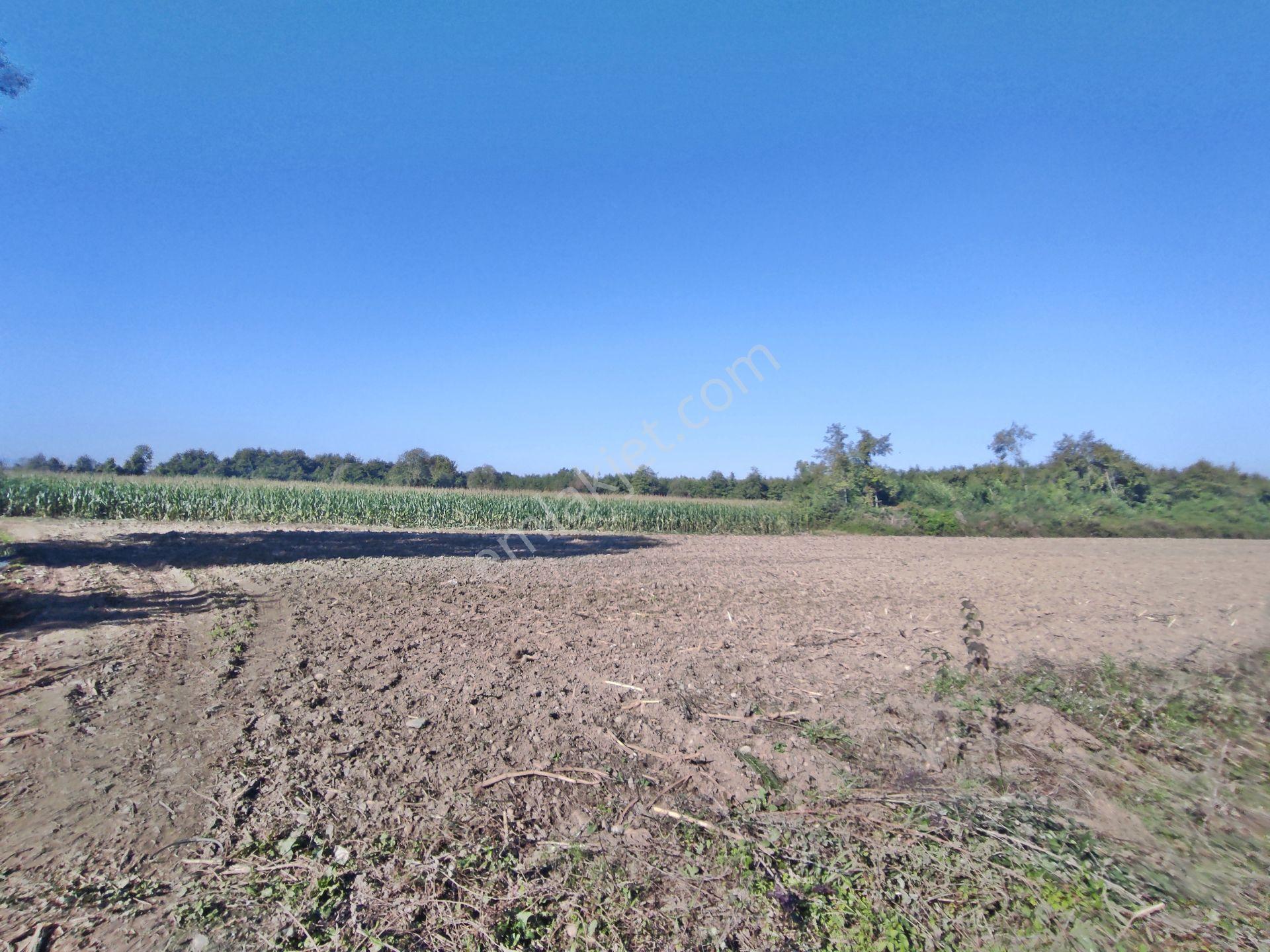 Kartepe Balaban Da Köye Ve Villa'lara Yakın 15,428,m2- Tarla — fotoğraf 9