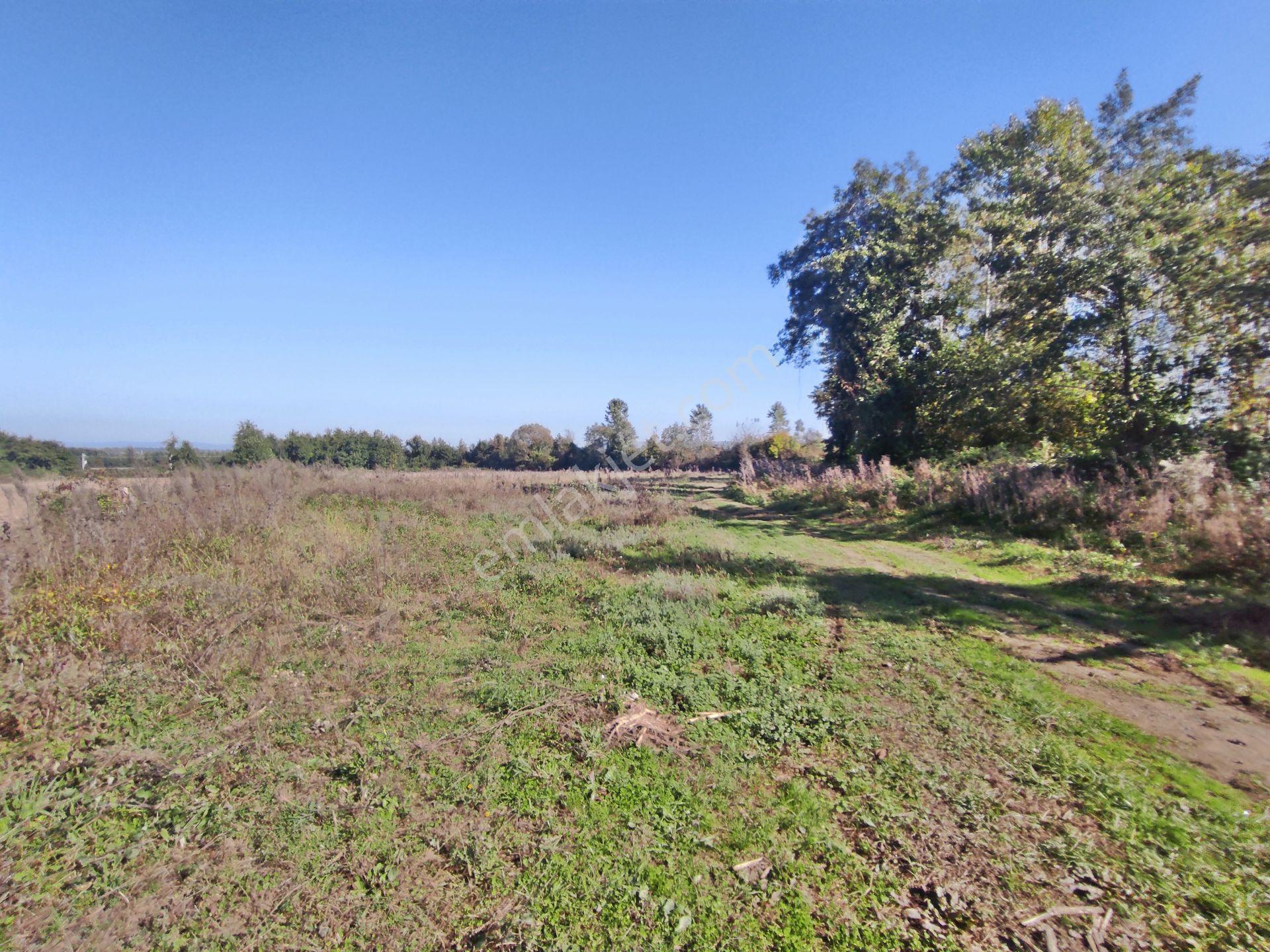 Kartepe Balaban Da Köye Ve Villa'lara Yakın 15,428,m2- Tarla — fotoğraf 10