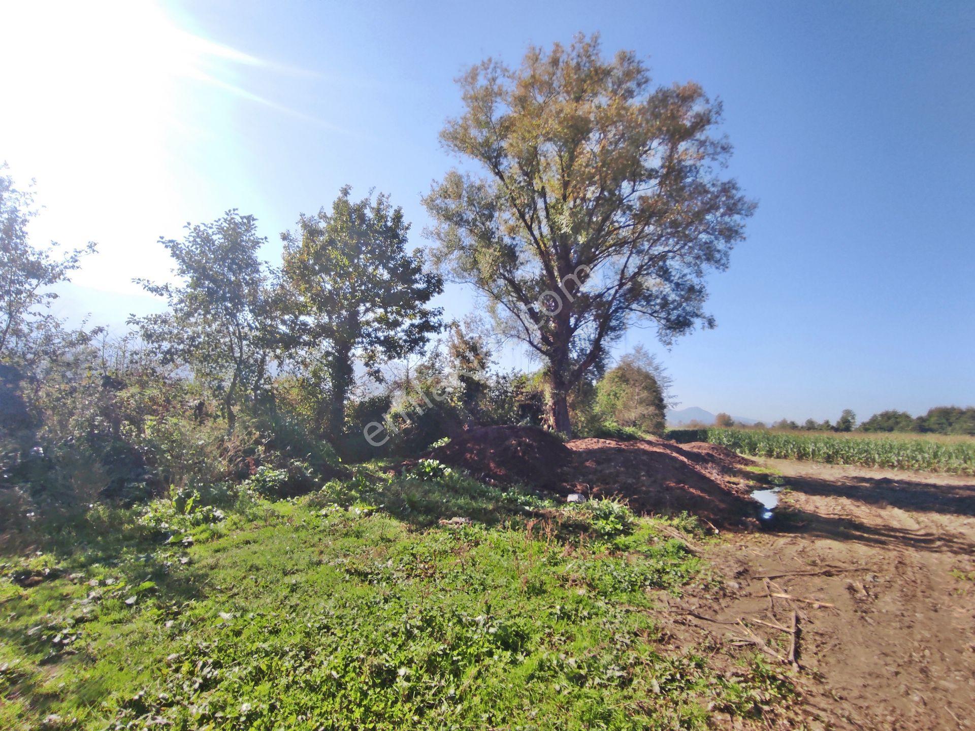 Kartepe Balaban Da Köye Ve Villa'lara Yakın 15,428,m2- Tarla — fotoğraf 12