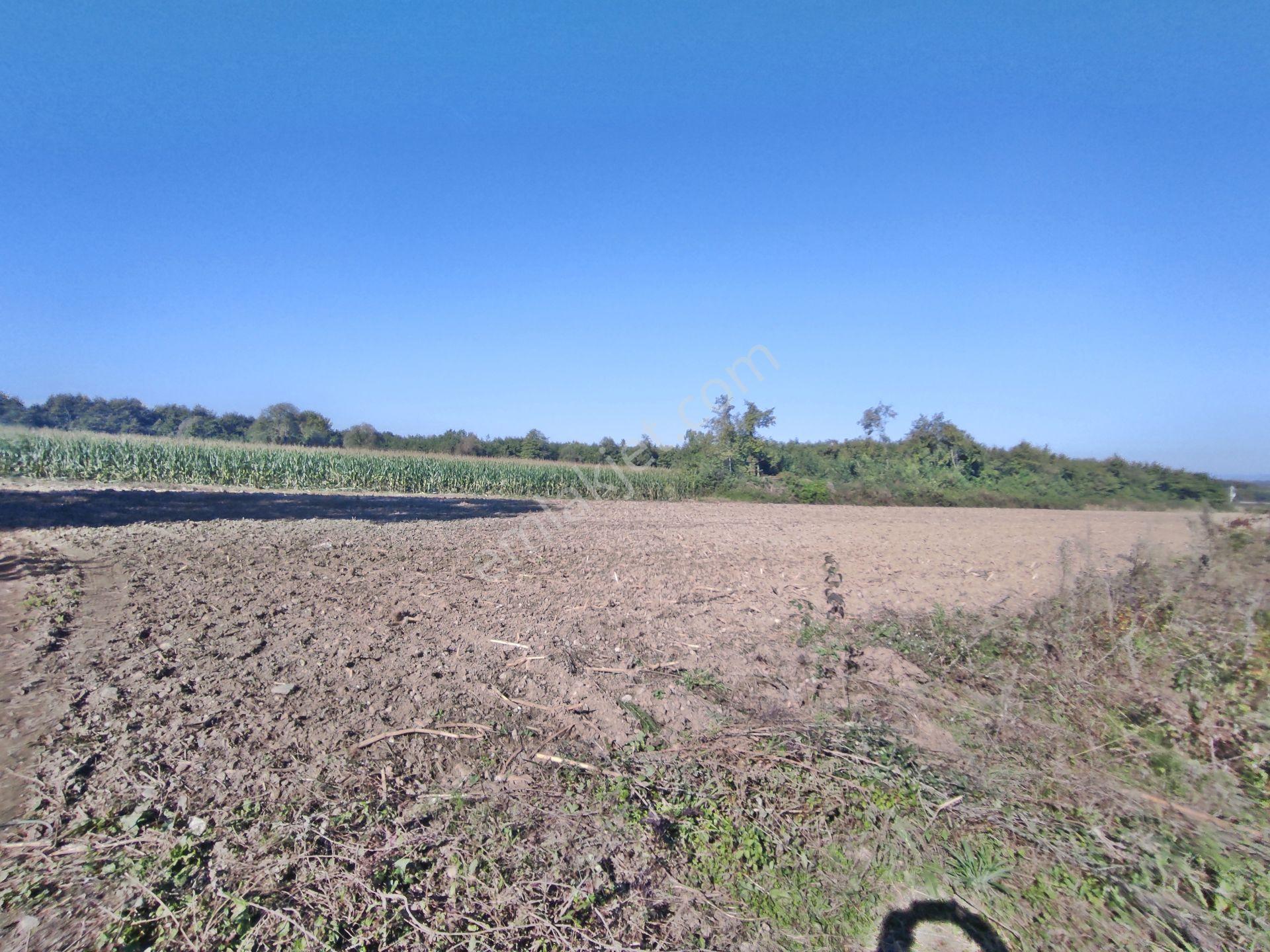 Kartepe Balaban Da Köye Ve Villa'lara Yakın 15,428,m2- Tarla — fotoğraf 13