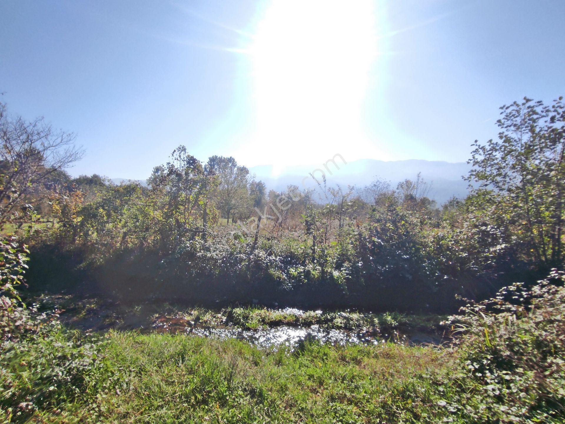Kartepe Balaban Da Köye Ve Villa'lara Yakın 15,428,m2- Tarla — fotoğraf 14