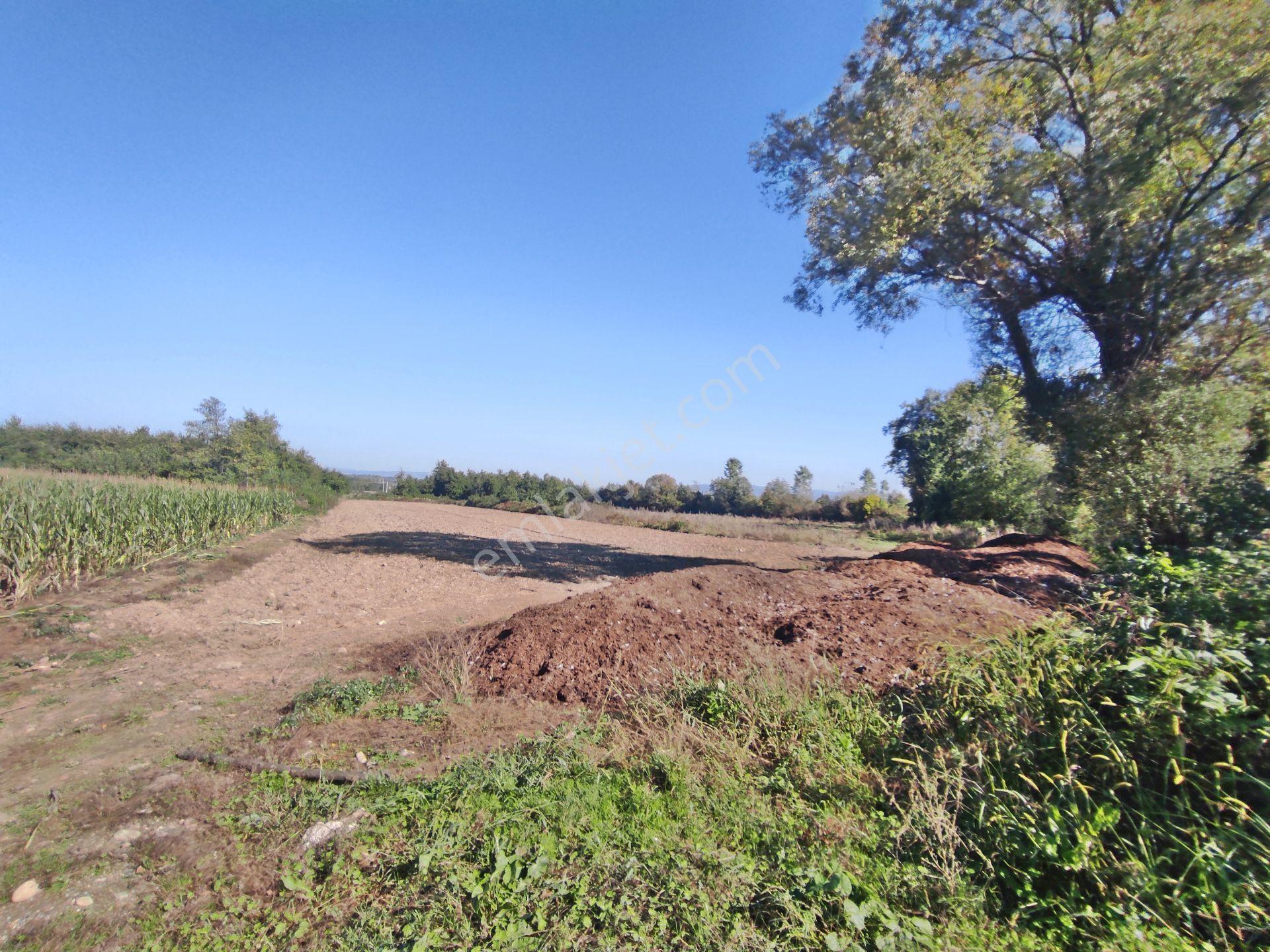 Kartepe Balaban Da Köye Ve Villa'lara Yakın 15,428,m2- Tarla — fotoğraf 16