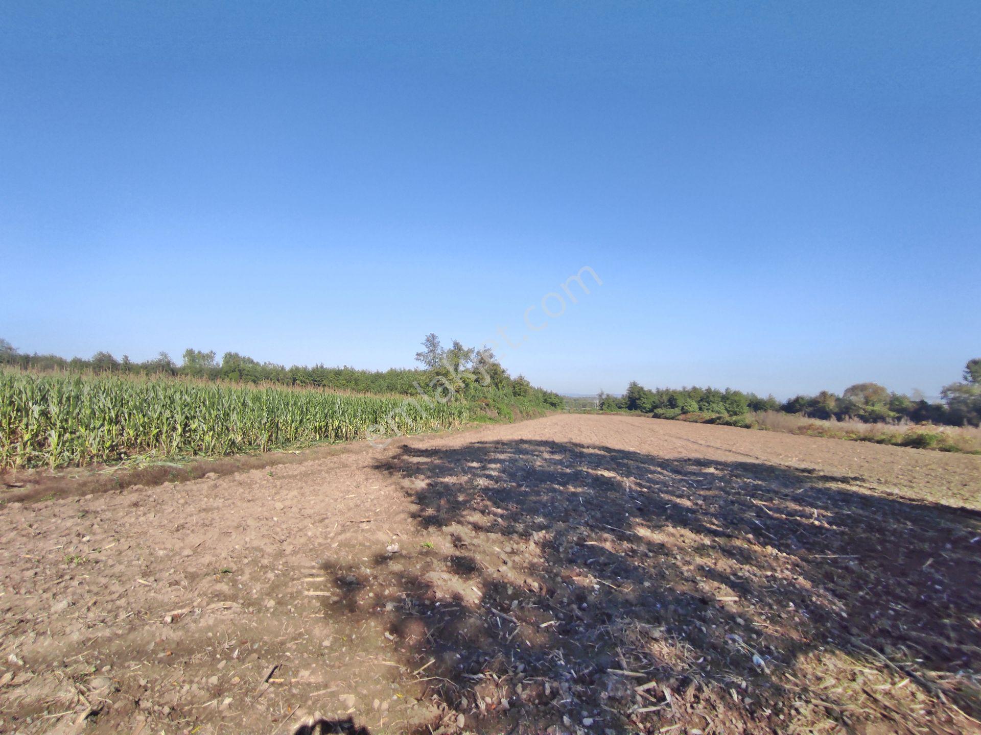 Kartepe Balaban Da Köye Ve Villa'lara Yakın 15,428,m2- Tarla — fotoğraf 18