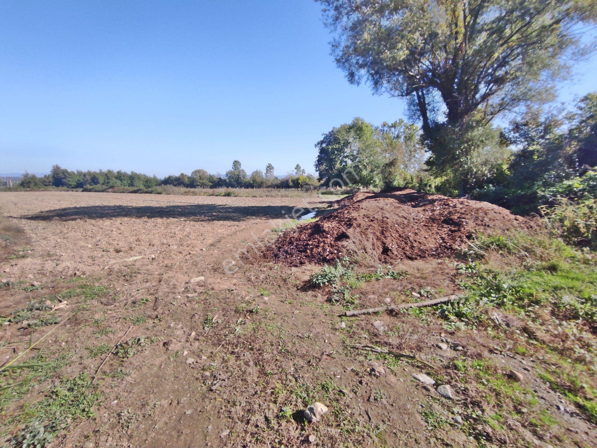 Kartepe Balaban Da Köye Ve Villa'lara Yakın 15,428,m2- Tarla — fotoğraf 21