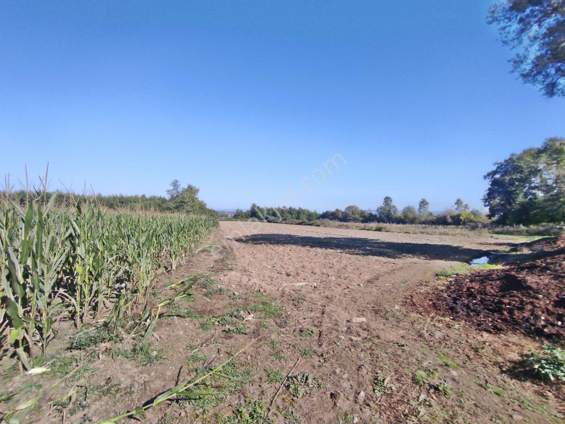 Kartepe Balaban Da Köye Ve Villa'lara Yakın 15,428,m2- Tarla — fotoğraf 22