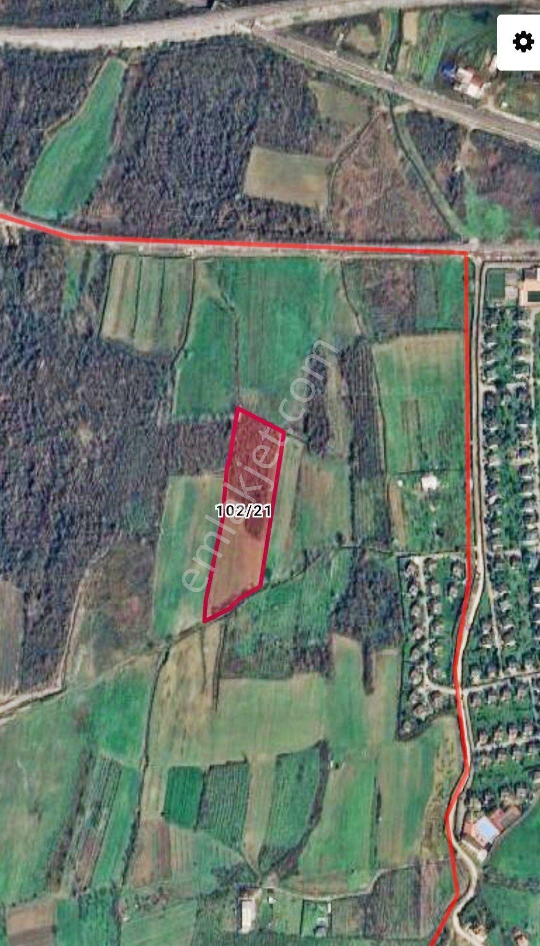 Kartepe Balaban Da Köye Ve Villa'lara Yakın 15,428,m2- Tarla — fotoğraf 24