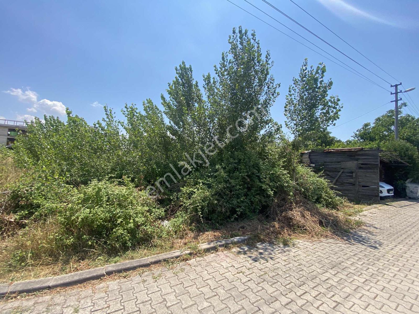 Narmanoğlu`ndan Cumhuriyet Mahallesinde 3 Kat İmarlı 476 M2 Arsa — fotoğraf 5