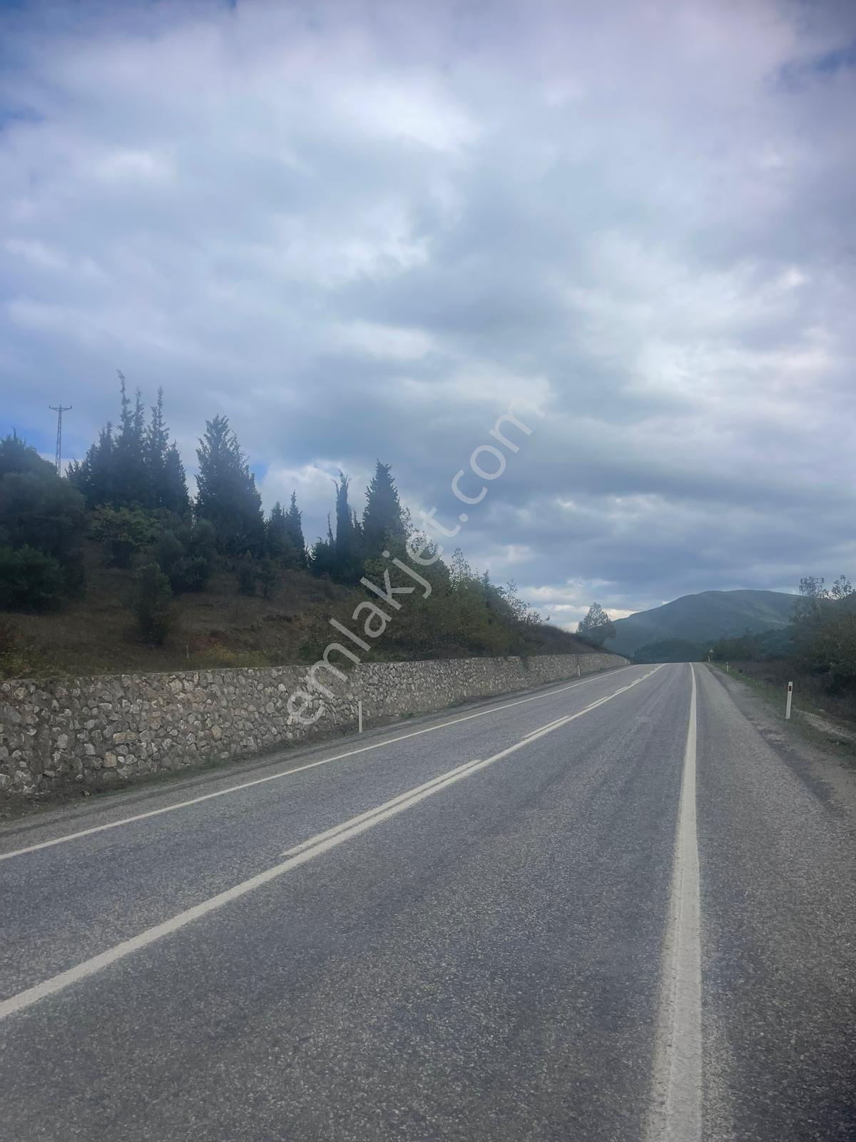 Yalova Çınarcık Şenköy'de Yola Cephe 9245 M2 Satılık Tarla — fotoğraf 3