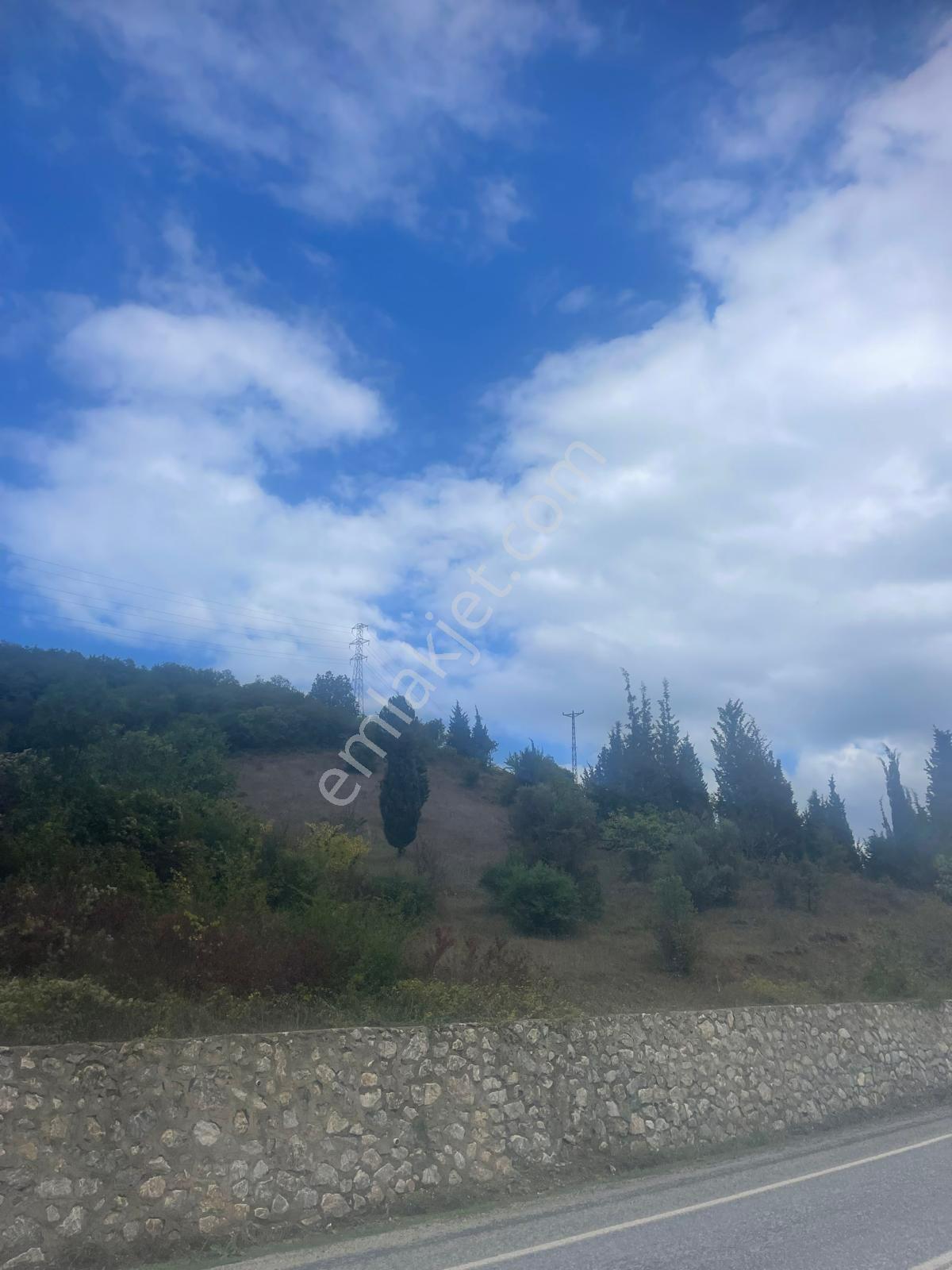 Yalova Çınarcık Şenköy'de Yola Cephe 9245 M2 Satılık Tarla — fotoğraf 5