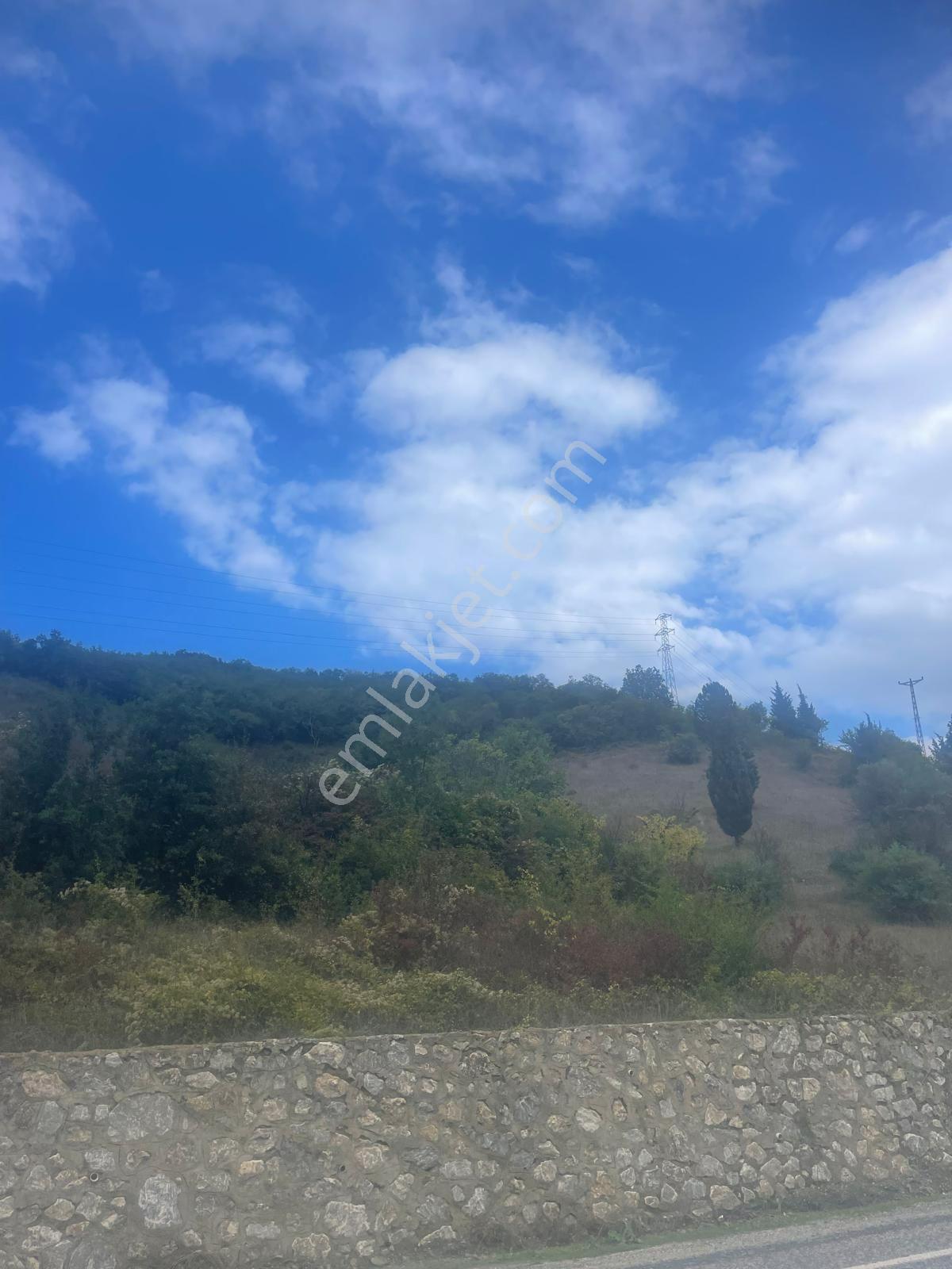 Yalova Çınarcık Şenköy'de Yola Cephe 9245 M2 Satılık Tarla — fotoğraf 6