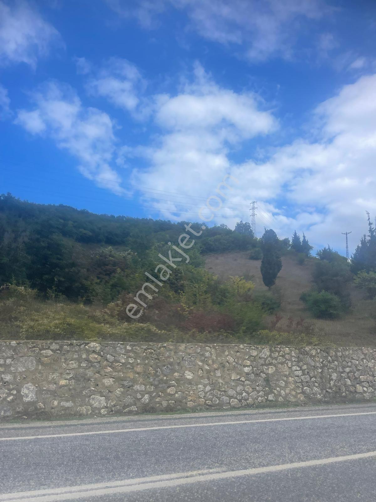 Yalova Çınarcık Şenköy'de Yola Cephe 9245 M2 Satılık Tarla — fotoğraf 8