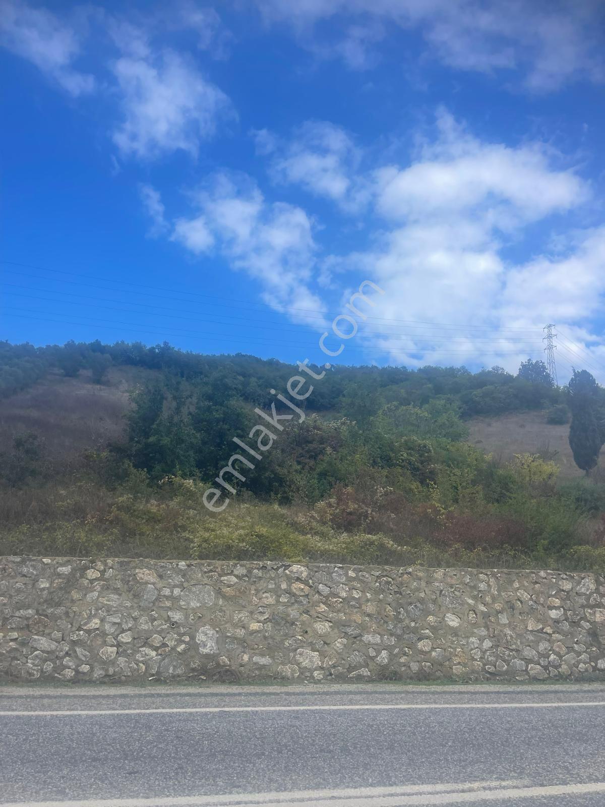 Yalova Çınarcık Şenköy'de Yola Cephe 9245 M2 Satılık Tarla — fotoğraf 9